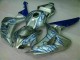 Azul Llama Plata Carenado Moto Honda CBR 1000 RR 06-07 Azul Llama Plata Carenado Moto Honda CBR 1000 RR 06-07