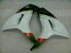 Blanco Negro Carenado Moto Honda CBR 1000 RR 06-07 Blanco Negro Carenado Moto Honda CBR 1000 RR 06-07