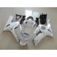 Blanco con Plata Calcomanías Carenado Moto Kawasaki ZX6R 03-04