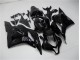 Brillante Negro Carenado Moto Honda CBR 600 RR 09-12