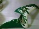 Compra Carenados Moto Honda CBR1000RR 2006-2007 - Blanco Verde Llama