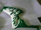 Compra Carenados Moto Honda CBR1000RR 2006-2007 - Blanco Verde Llama