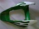Compra Carenados Moto Honda CBR1000RR 2006-2007 - Blanco Verde Llama