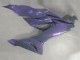 Compra Carenados Moto Kawasaki ZX6R 2019-2022 - Camaleón Gris Dazz Púrpura Perla