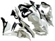 Compra Carenados Moto Kawasaki ZX25R ZX-25R 2019-2025 - Blanco Plata Verde Negro Trick Star
