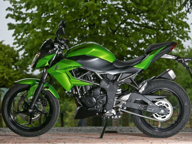 Compra Carenados Moto Kawasaki Z250/Z300 2015-2016 - Verde Negro Mate