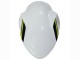 Compra Carenados Moto Kawasaki Ninja Z650 2020-2023 - Blanco Negro Verde