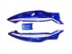 Compra Carenados Moto Yamaha YZF600R Thundercat 1996-2007 - Azul Blanco Negro