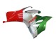 Compra Carenados Moto Ducati Panigale V2 2020-2024 - Plata Rojo Verde