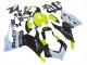 Compra Carenados Moto Ducati Panigale V2 2020-2024 - Blanco Verde Lima Negro Brillante Stein Dinse VR 46