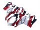 Compra Carenados Moto Ducati Panigale V4 V4S 2020-2021 - Blanco Rojo Verde Negro Mate