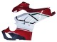 Compra Carenados Moto Ducati Panigale V4 V4S 2020-2021 - Blanco Rojo Verde Negro Mate