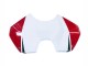 Compra Carenados Moto Ducati Panigale V4 V4S 2018-2019 - Blanco Rojo Verde Negro Brillante