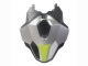 Compra Carenados Moto BMW S1000RR 2023-2024 - Plata Negro Mate Verde Lima