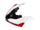Compra Carenados Moto BMW S1000RR 2019-2022 - Negro Blanco Rojo Azul