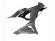 Compra Carenados Moto Kawasaki ZX6R 2023-2025 - Gris Ninja