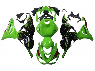 Compra Carenados Moto Kawasaki ZX6R 2023-2025 - Verde Negro