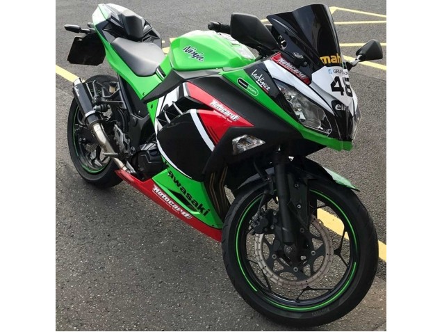 Compra Carenados Moto Kawasaki EX300 2013-2024 - Verde Blanco Rojo Negro Elf