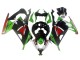 Compra Carenados Moto Kawasaki EX300 2013-2024 - Verde Blanco Rojo Negro Elf