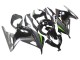 Compra Carenados Moto Kawasaki EX300 2013-2024 - Negro Brillante Negro Mate Verde