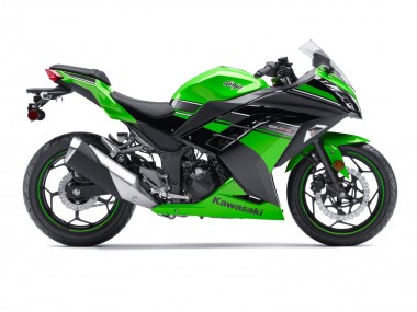 Compra Carenado Moto Kawasaki EX300 2013-2024 - Verde Negro