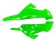 Compra Carenados Moto Kawasaki EX300 2013-2024 - Verde Plata Negro