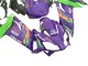 Compra Carenados Moto Aprilia RS125 2006-2011 - Púrpura Verde Rojo