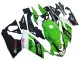 Compra Carenado Moto Aprilia RS125 2006-2011 - Verde Blanco Negro