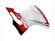 Compra Carenados Moto Ducati 1199 2011-2014 - Blanco Rojo Verde Negro Brillante