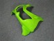 Compra Carenados Moto Kawasaki EX250 2008-2012 - Verde Blanco Negro