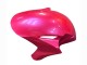 Compra Carenados Moto Honda CBR1000RR 2004-2005 - Rosa Negro Brillante