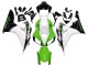 Compra Carenado Moto Honda CBR1000RR 2006-2007 - Blanco Verde Negro Brillante