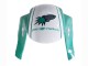 Compra Carenados Moto Honda CBR600RR 2005-2006 - Verde Claro Blanco Negro Brillante Joe Rocket