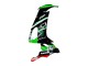 Compra Carenados Moto Kawasaki ZX10R 2008-2010 - Verde Blanco Rojo Negro Monstruo Elf 66