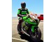 Compra Carenados Moto Kawasaki ZX10R 2011-2015 - Verde Amarillo Blanco Negro Rojo Pirelli