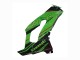 Compra Carenados Moto Kawasaki ZX10R 2021-2025 - Verde Negro Brillante