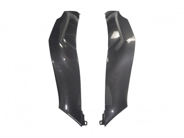 Compra Carenados Moto Kawasaki ZX10R 2021-2025 - Negro FibraCarbono