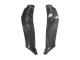 Compra Carenados Moto Kawasaki ZX10R 2021-2025 - Negro FibraCarbono
