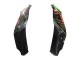 Compra Carenados Moto Kawasaki ZX10R 2021-2025 - Verde Negro Rojo