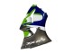 Compra Carenados Moto Kawasaki ZX6R 1998-1999 - Verde Blanco Azul Plata Negro Brillante