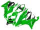 Compra Carenados Moto Kawasaki ZX6R 2019-2022 - Verde
