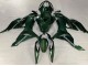 Compra Carenados Moto Kawasaki ZX6R 2019-2022 - Verde Oscuro