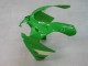 Compra Carenados Moto Kawasaki ZX9R 2000-2001 - Verde Plata Negro