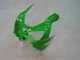 Compra Carenados Moto Kawasaki ZX9R 2000-2001 - Verde Plata Negro