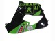 Compra Carenados Moto Kawasaki ZX9R 2000-2001 - Verde Negro Playboy DENSO