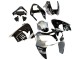 Compra Carenados Moto Kawasaki ZX9R 2002-2003 - Plata Negro Brillante Monstruo Elf