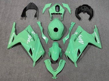Compra Carenados Moto Kawasaki EX300 2013-2024 - Verde Claro Blanco