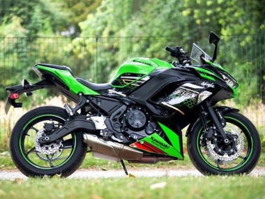 Compra Carenados Moto Kawasaki Ninja 650 EX650 2020-2024 - Verde Negro Rojo Honeycomb