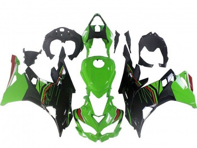 Compra Carenados Moto Kawasaki ZX4R ZX-4RR 2019-2025 - Verde Negro Rojo