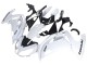 Compra Carenados Moto Kawasaki EX650 2012-2016 - Blanco Negro
